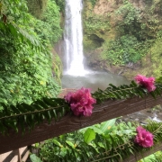 8. Waterfall at La Paz Waterfall gardens